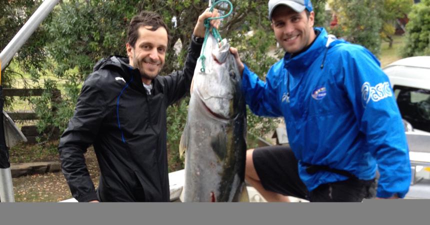 Moving Limits Spearfishing in New Zealand with Diving for a Cause New Zealand 